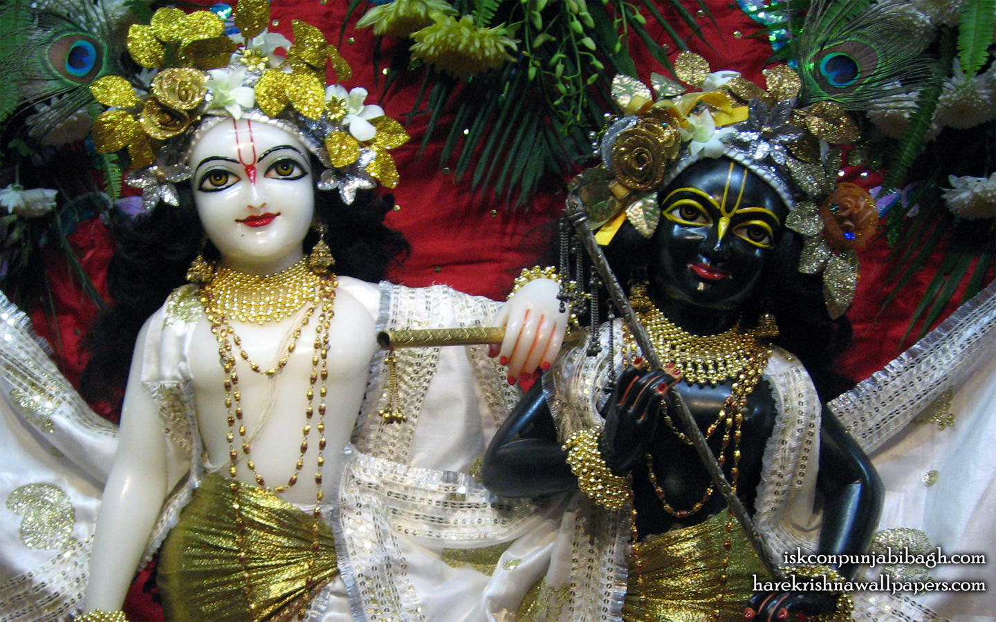 Sri Sri Krishna Balaram Close up Wallpaper (002) Size 1440x900 Download