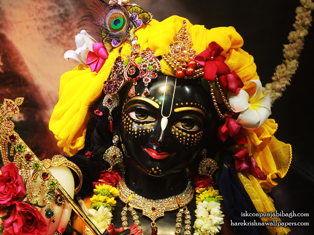 Sri Krishna Close up Wallpaper (003) Size 1024x768 Download