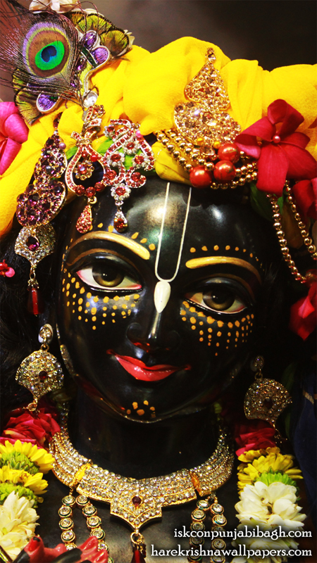 Sri Krishna Close up Wallpaper (003) Size 450x800 Download
