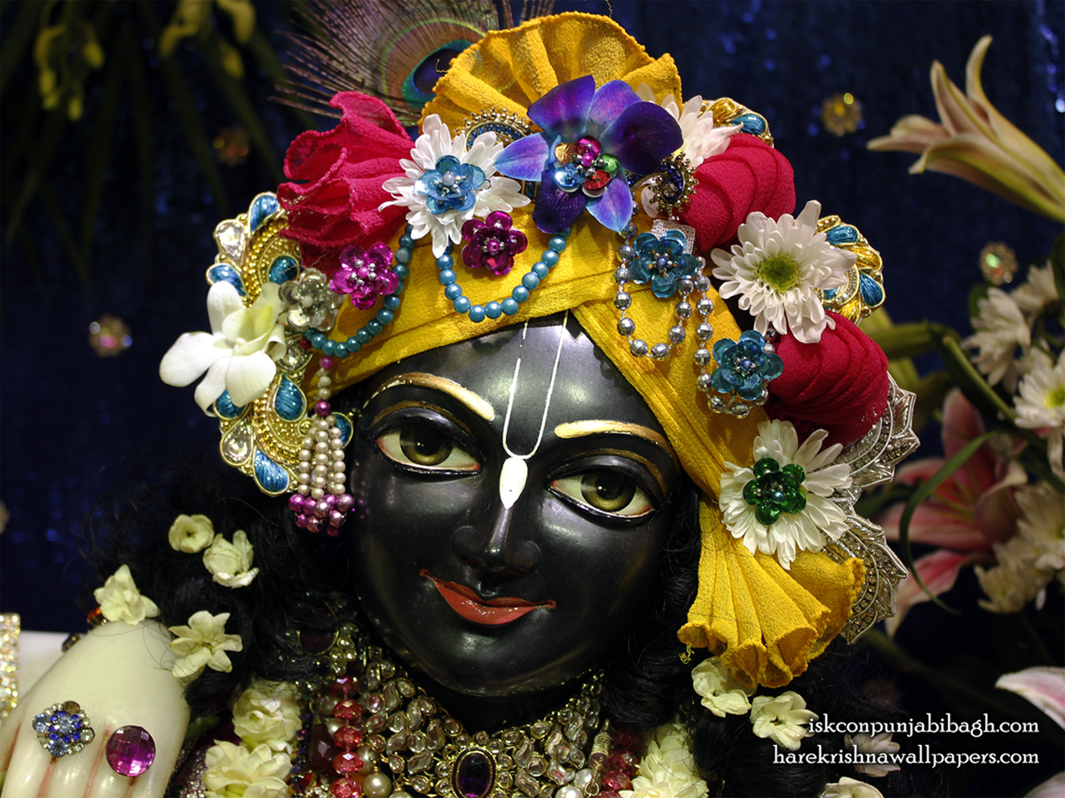 Sri Krishna Close up Wallpaper (004) Size1200x900 Download