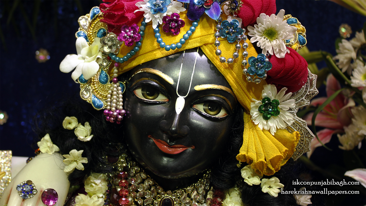 Sri Krishna Close up Wallpaper (004) Size1280x720 Download