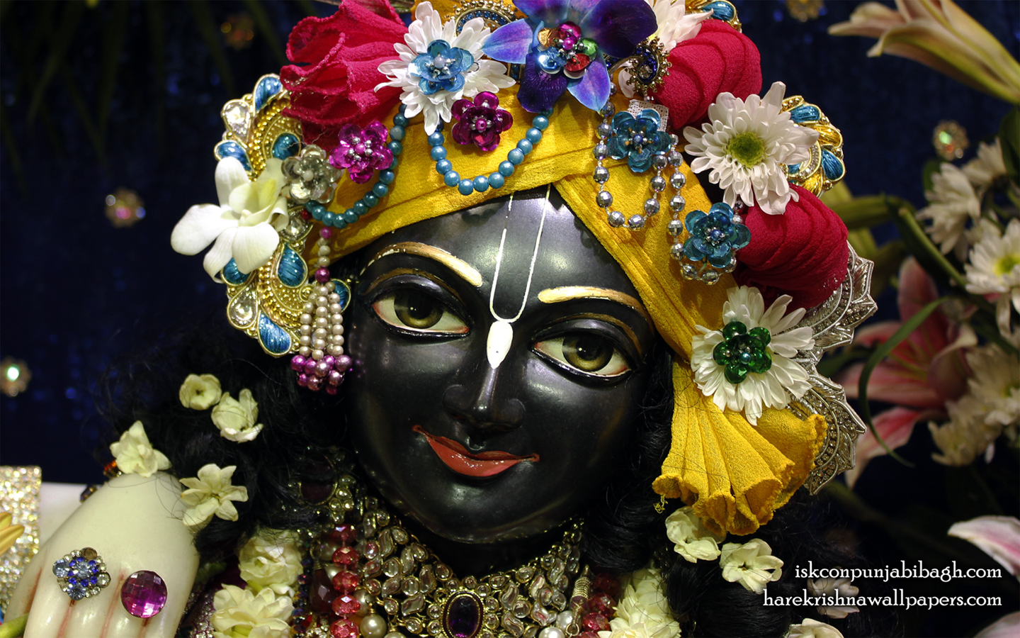 Sri Krishna Close up Wallpaper (004) Size 1440x900 Download