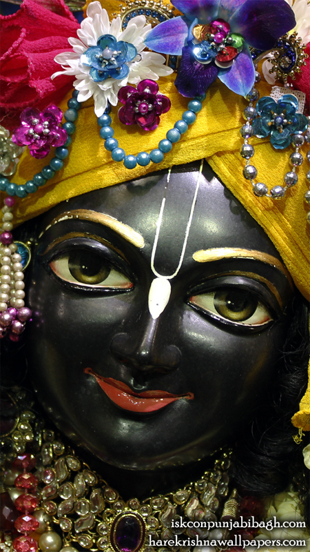 Sri Krishna Close up Wallpaper (004) Size 450x800 Download