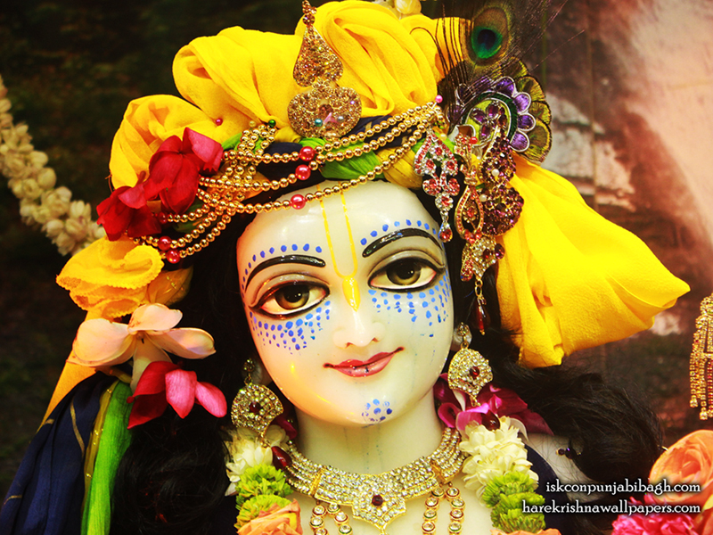 Sri Balaram Close up Wallpaper (005) Size 800x600 Download