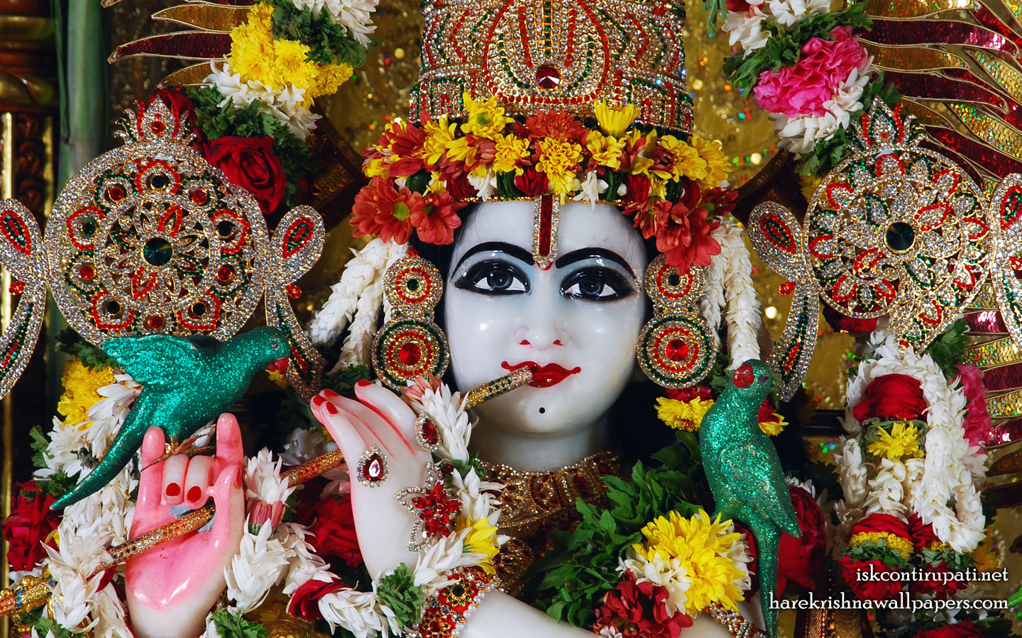 Sri Govinda Close up Wallpaper (001) Size 1440x900 Download