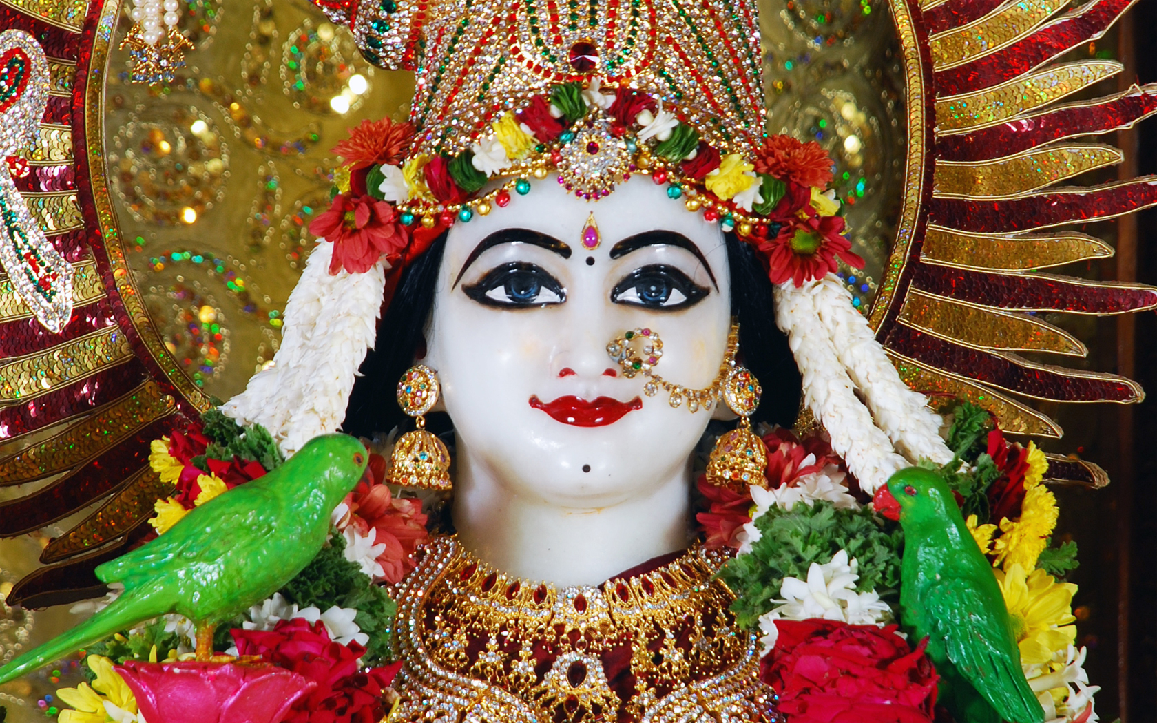 Sri Radha Close up Wallpaper (001) Size 1680x1050 Download