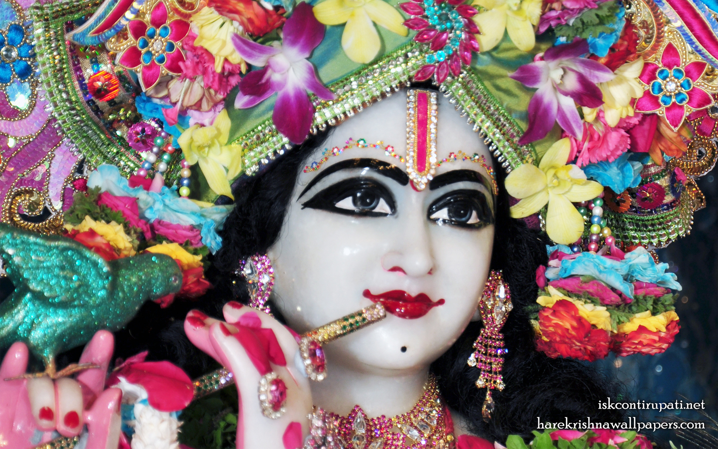 Sri Govinda Close up Wallpaper (002) Size 1440x900 Download
