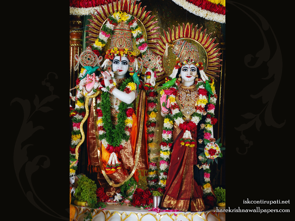 Sri Sri Radha Govinda Wallpaper (002) Size 1024x768 Download