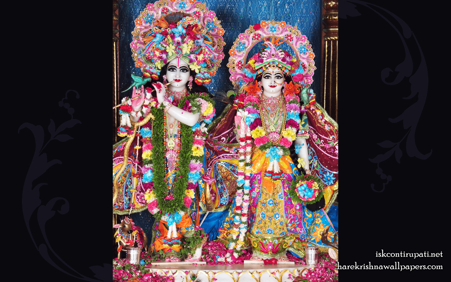 Sri Sri Radha Govinda Wallpaper (003) Size 1440x900 Download