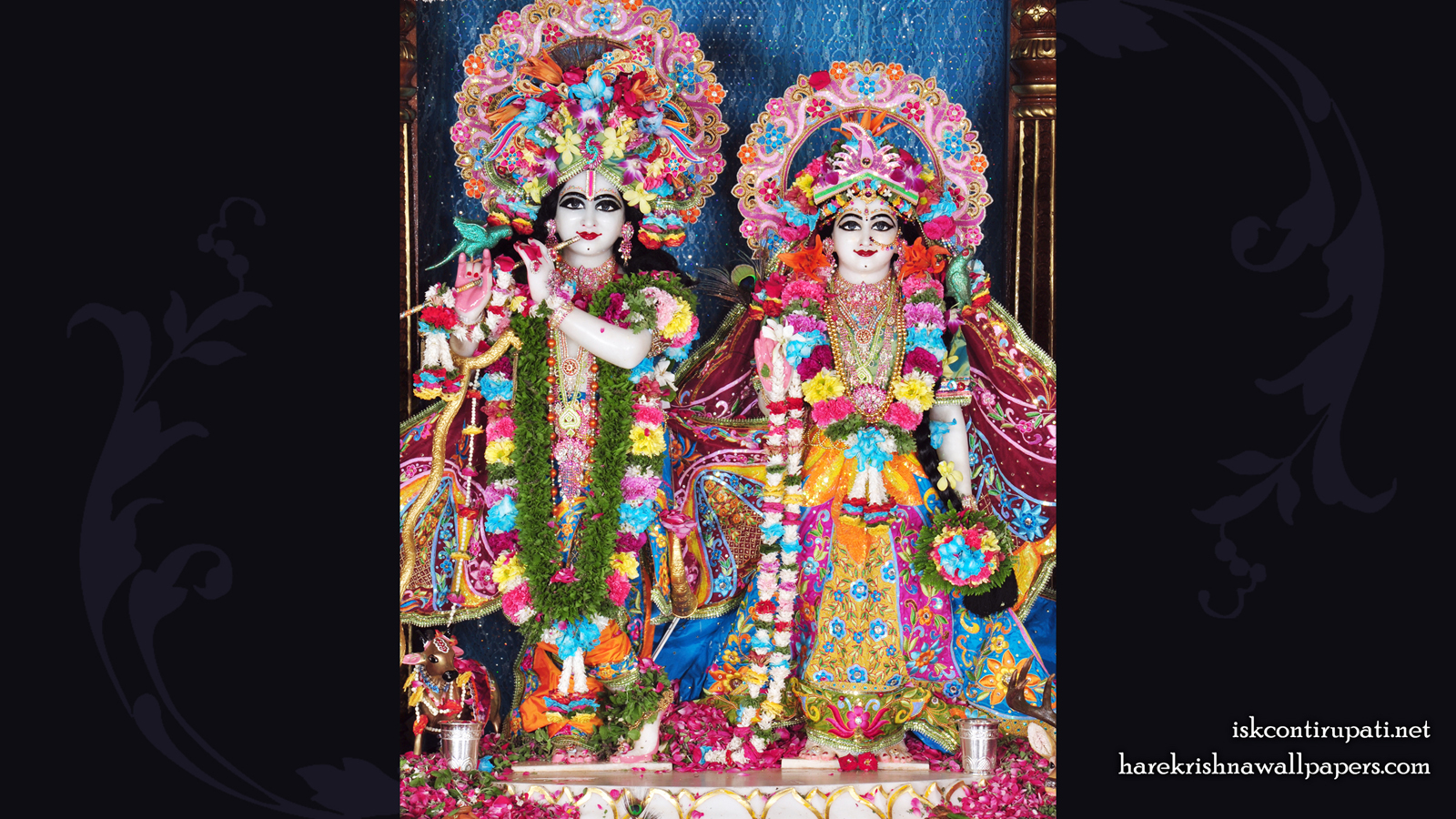 Sri Sri Radha Govinda Wallpaper (003) Size 1600x900 Download