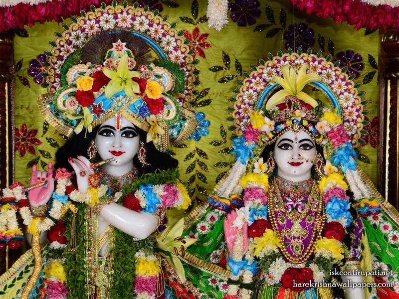 Sri Sri Radha Govinda Close up Wallpaper (003) Size 800x600 Download