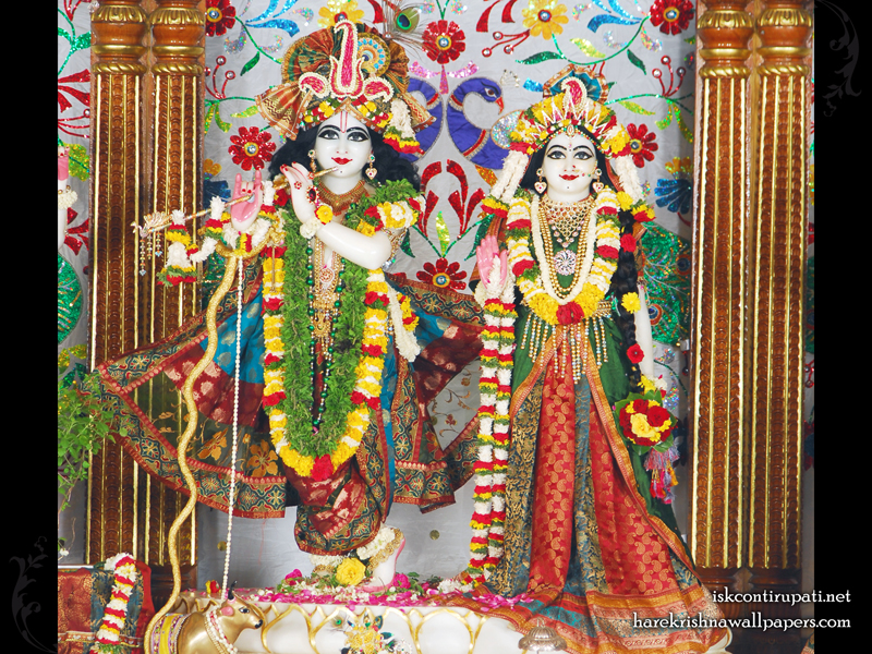 Sri Sri Radha Govinda Wallpaper (004) Size 800x600 Download