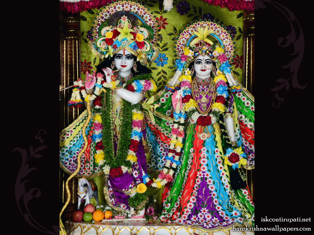 Sri Sri Radha Govinda Wallpaper (005) Size 1024x768 Download