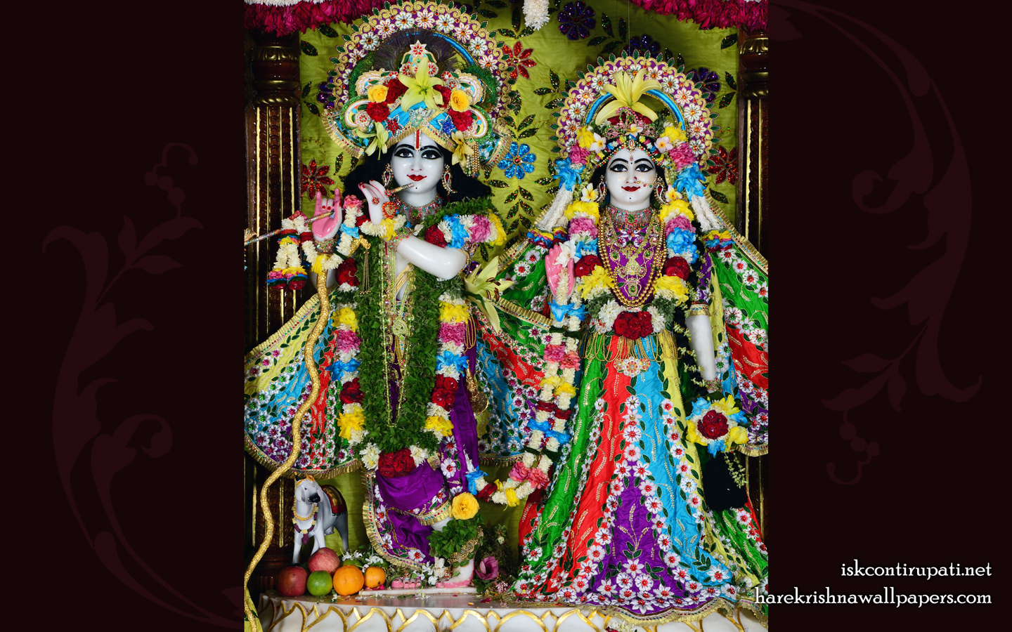 Sri Sri Radha Govinda Wallpaper (005) Size 1440x900 Download