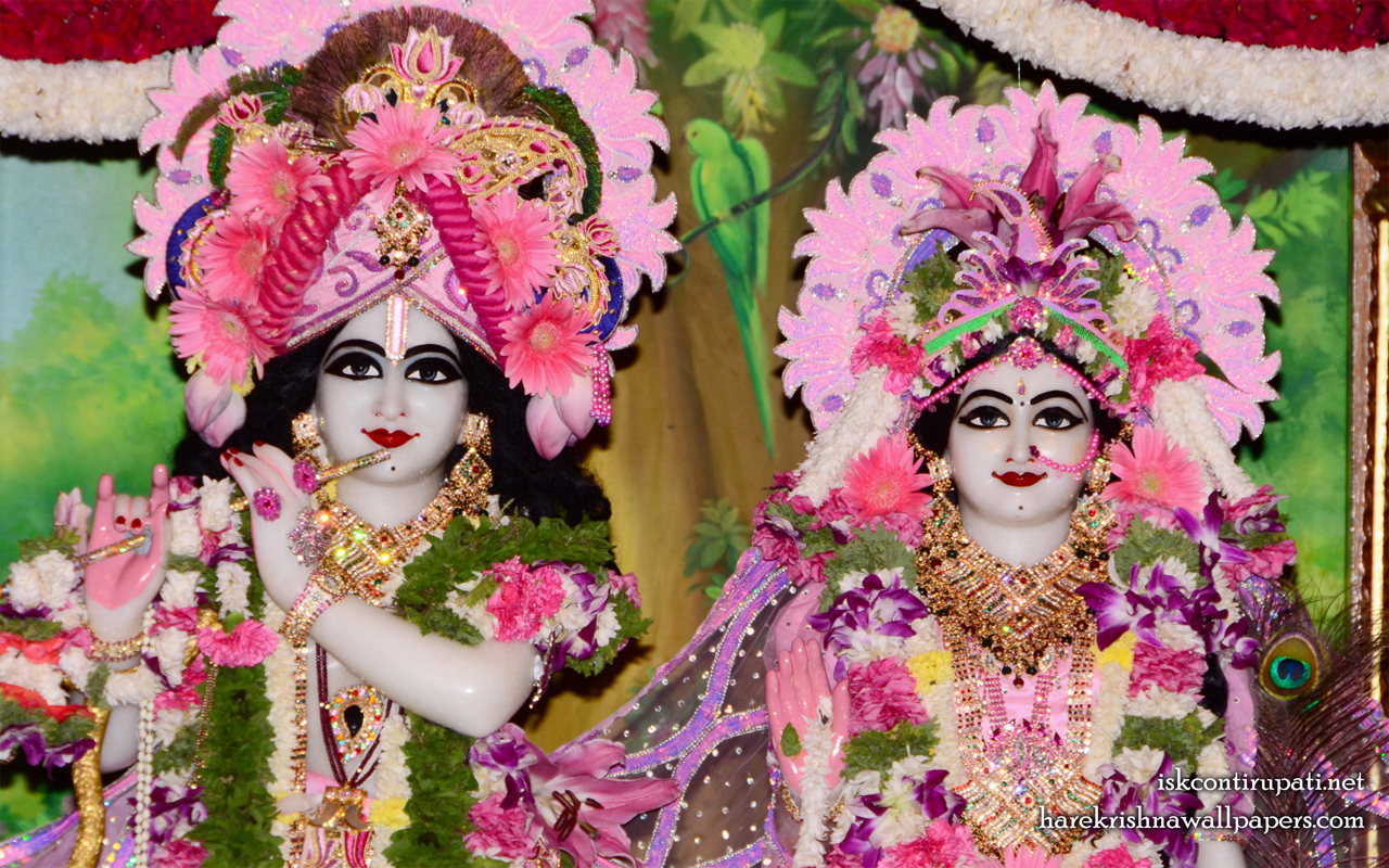 Sri Sri Radha Govinda Close up Wallpaper (006) Size 1280x800 Download