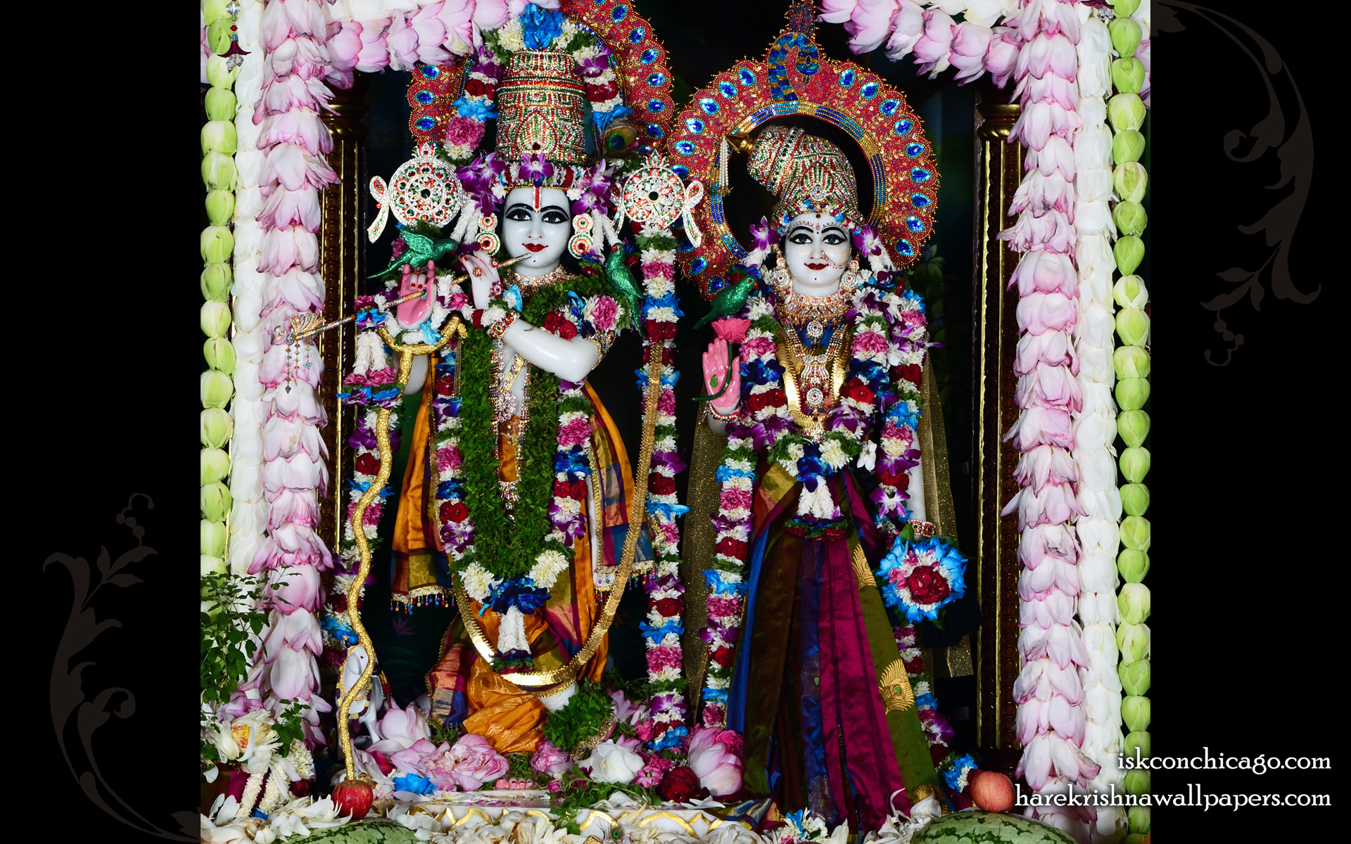 Sri Sri Radha Govinda Wallpaper (008) Size 1920x1200 Download