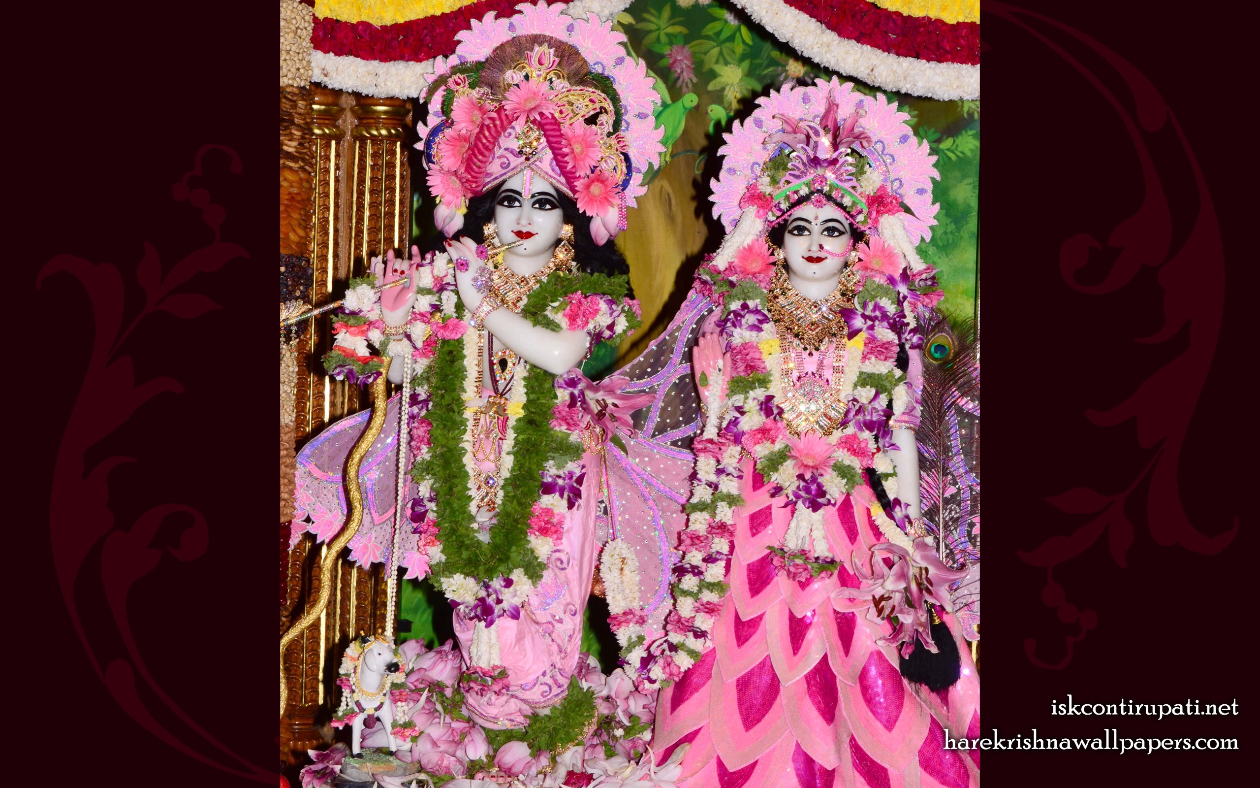 Sri Sri Radha Govinda Wallpaper (009) Size 2560x1600 Download