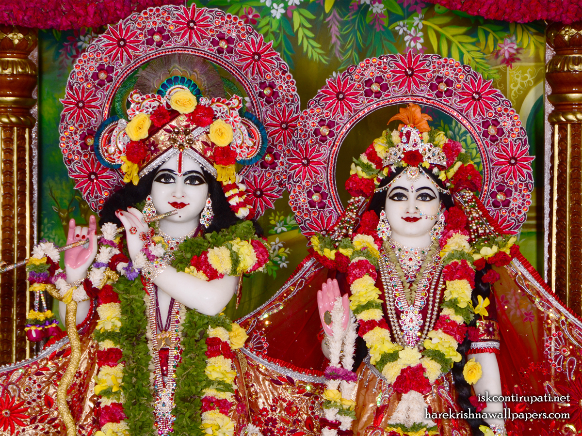 Sri Sri Radha Govinda Close up Wallpaper (010) Size 1200x900 Download