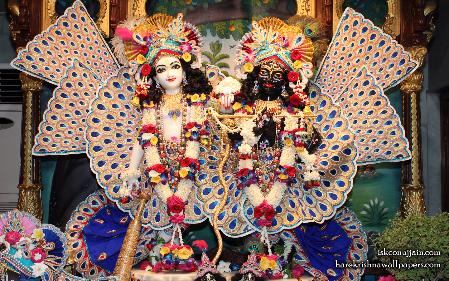 Sri Sri Krishna Balaram Wallpaper (006) Size 1440x900 Download