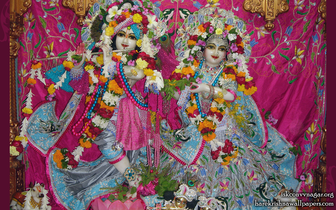 Sri Sri Radha Giridhari Wallpaper (001) Size 1280x800 Download