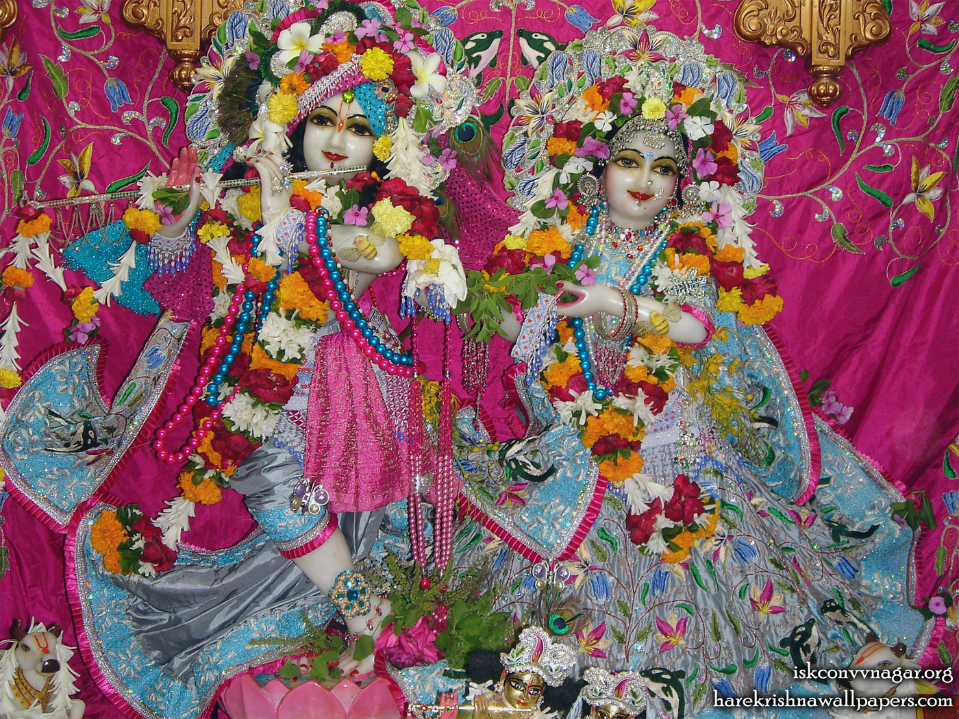 Sri Sri Radha Giridhari Wallpaper (001) Size 1400x1050 Download