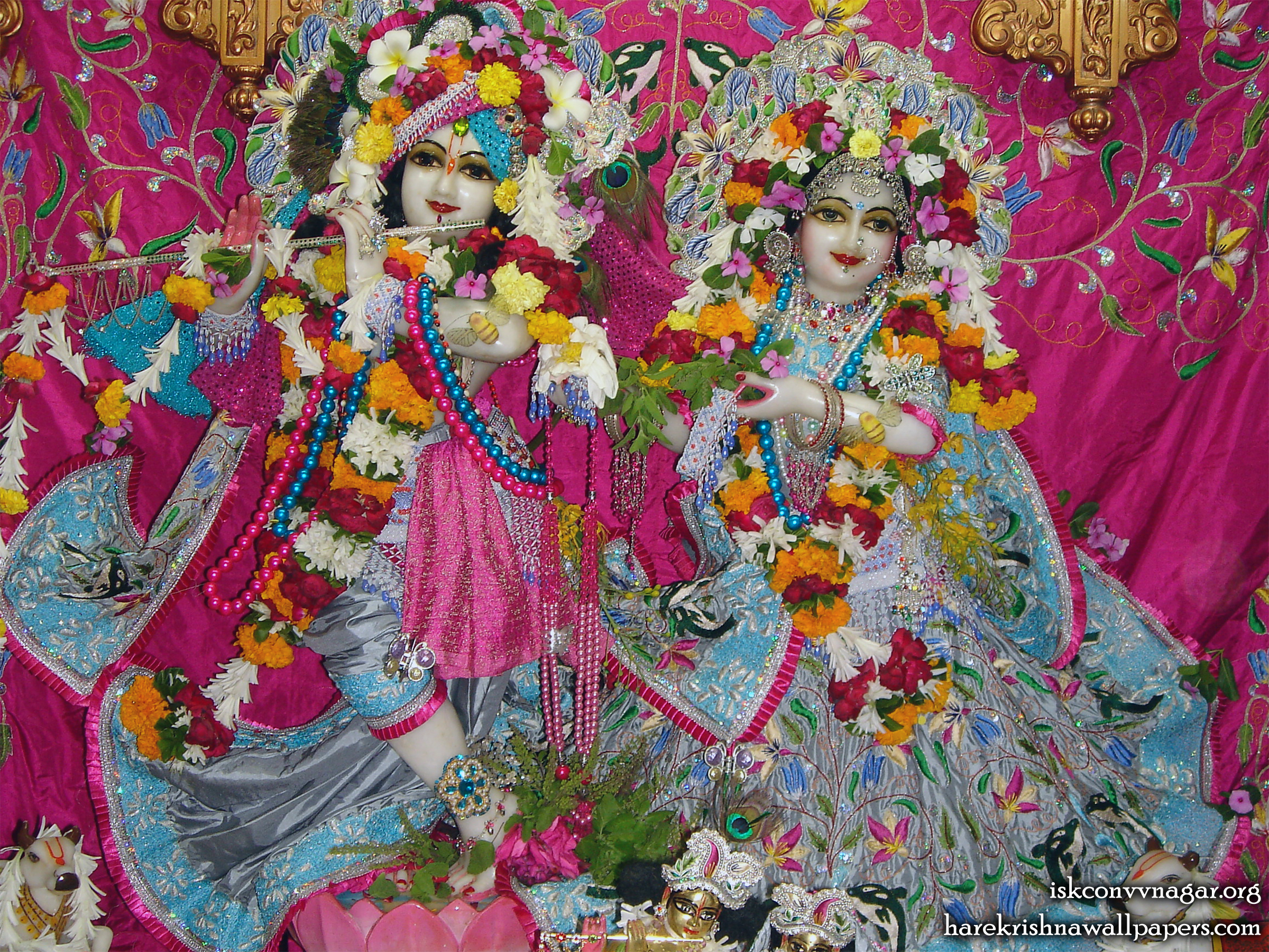 Sri Sri Radha Giridhari Wallpaper (001) Size 2400x1800 Download