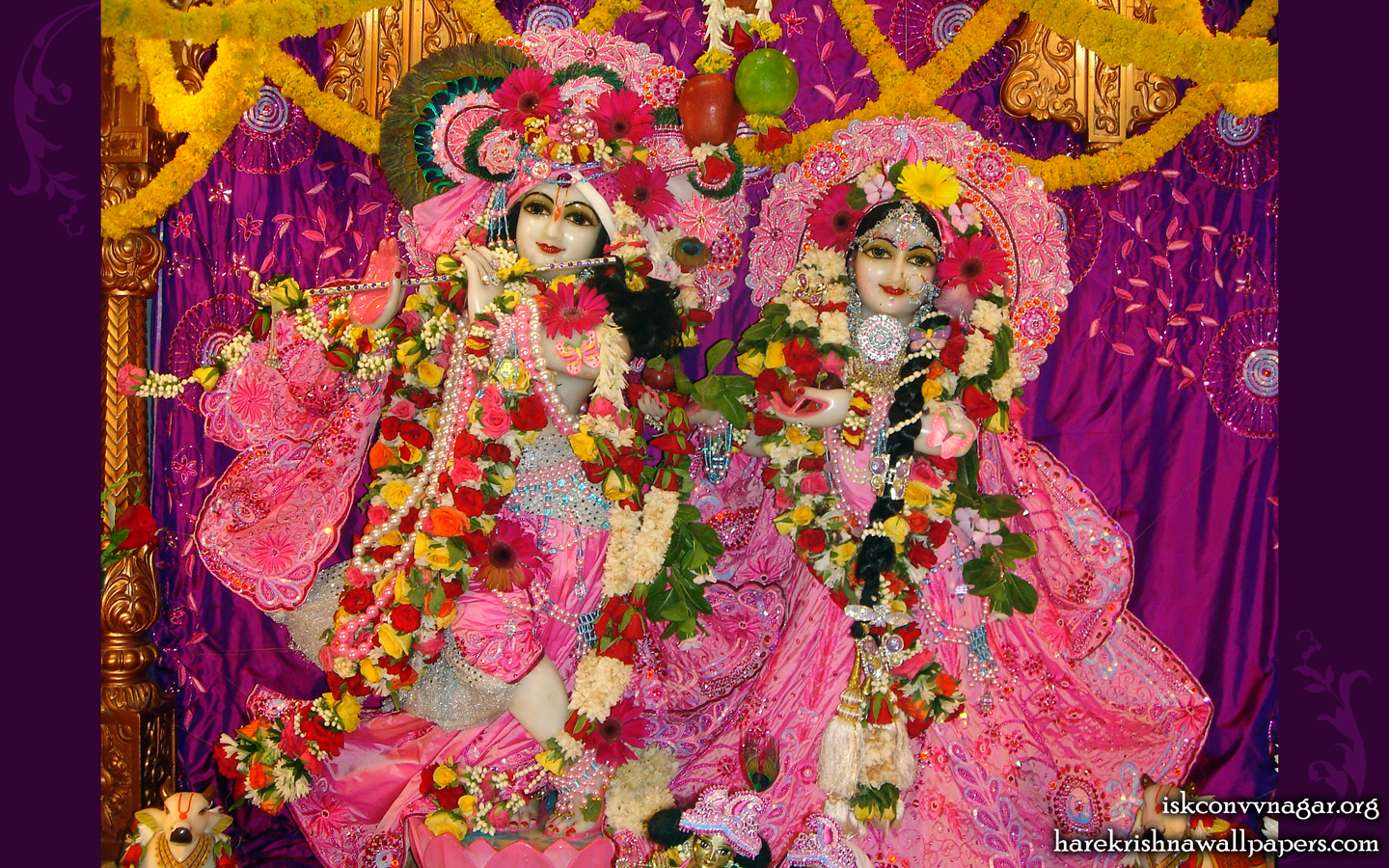 Sri Sri Radha Giridhari Wallpaper (002) Size 1440x900 Download