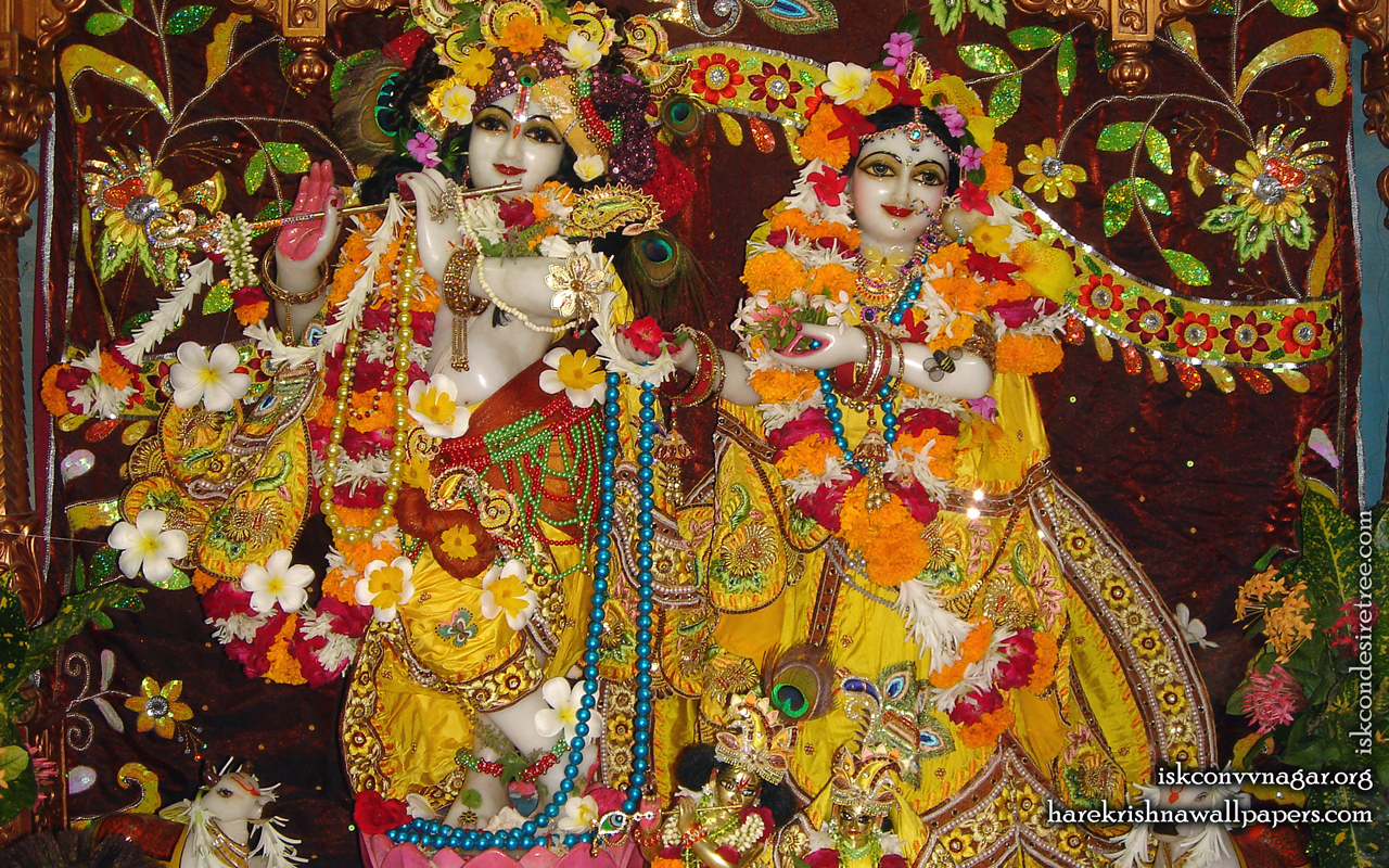 Sri Sri Radha Giridhari Wallpaper (006) Size 1280x800 Download