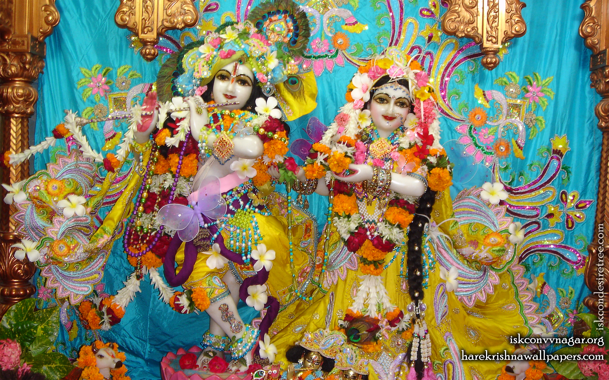 Sri Sri Radha Giridhari Wallpaper (008) Size 2560x1600 Download