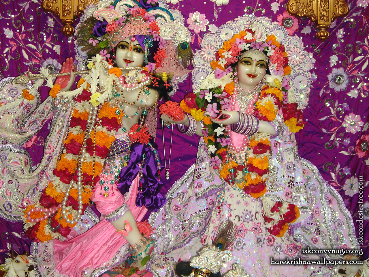 Sri Sri Radha Giridhari Wallpaper (014) Size 1280x960 Download