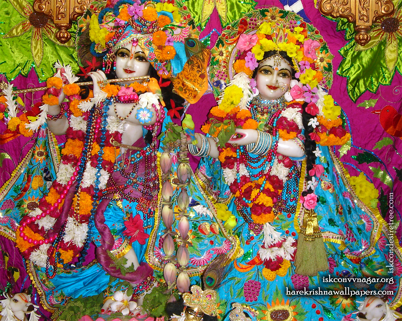 Sri Sri Radha Giridhari Wallpaper (015) Size 1280x1024 Download