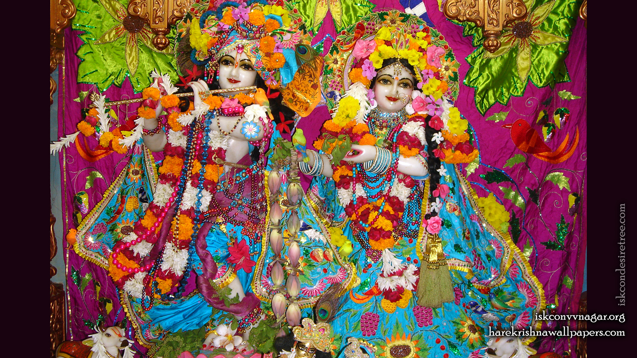 Sri Sri Radha Giridhari Wallpaper (015) Size 1280x720 Download