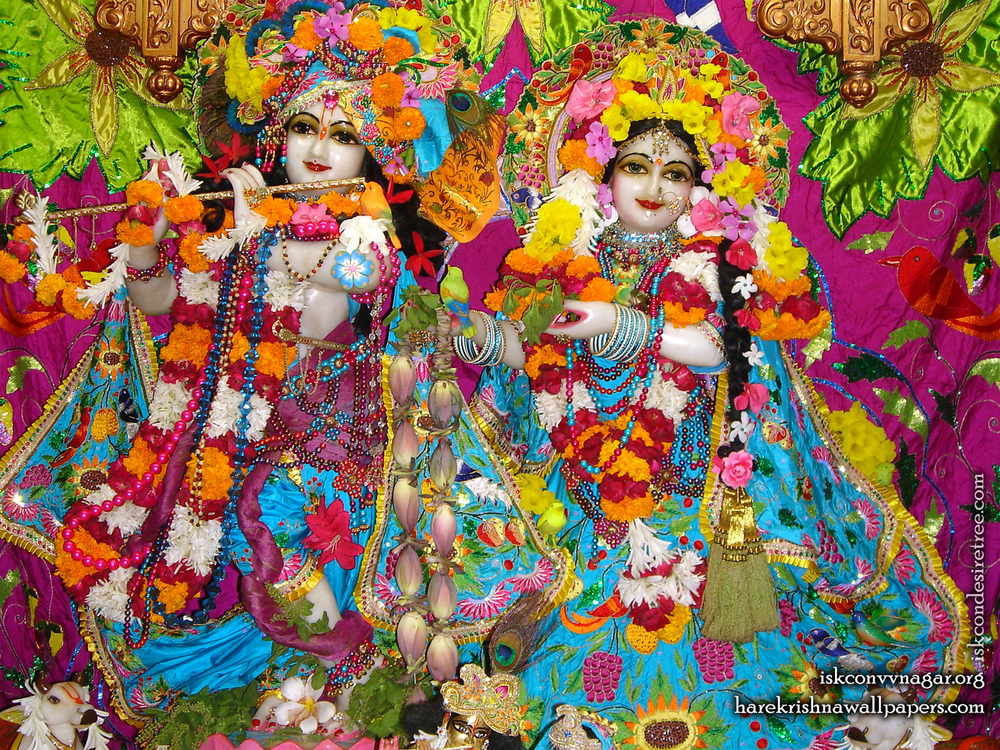 Sri Sri Radha Giridhari Wallpaper (015) Size 1400x1050 Download