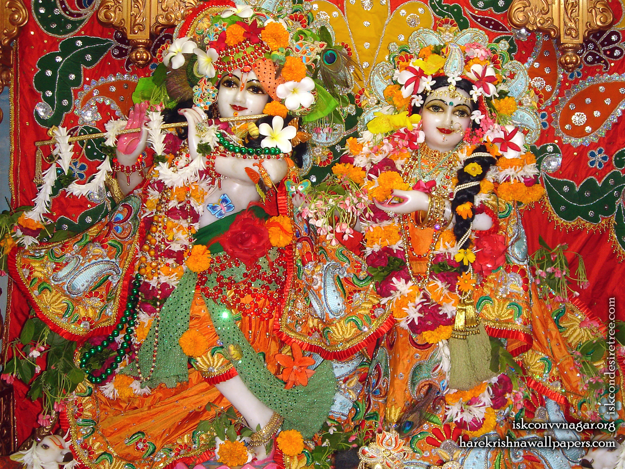 Sri Sri Radha Giridhari Wallpaper (016) Size 1280x960 Download
