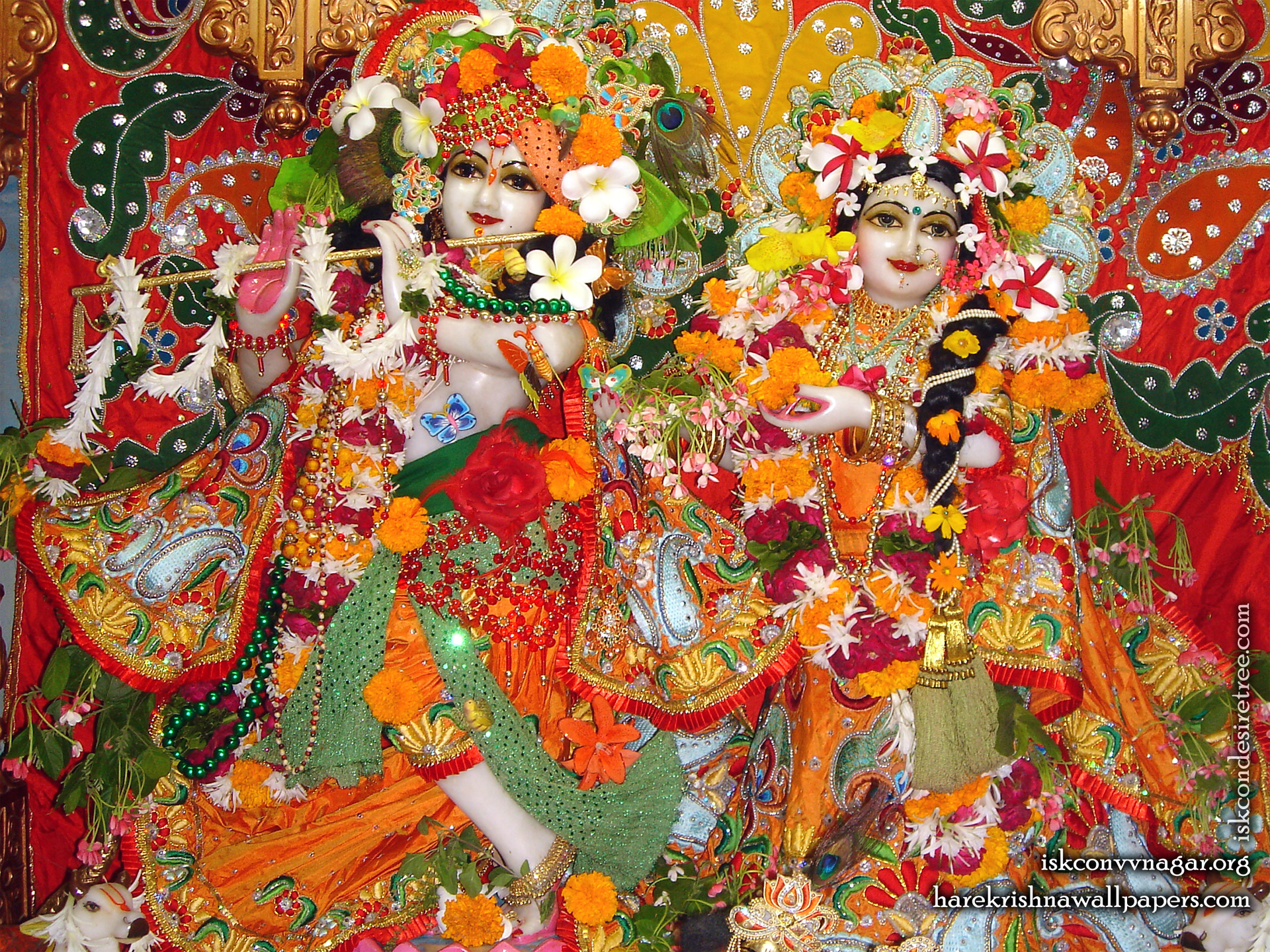 Sri Sri Radha Giridhari Wallpaper (016) Size 1920x1440 Download