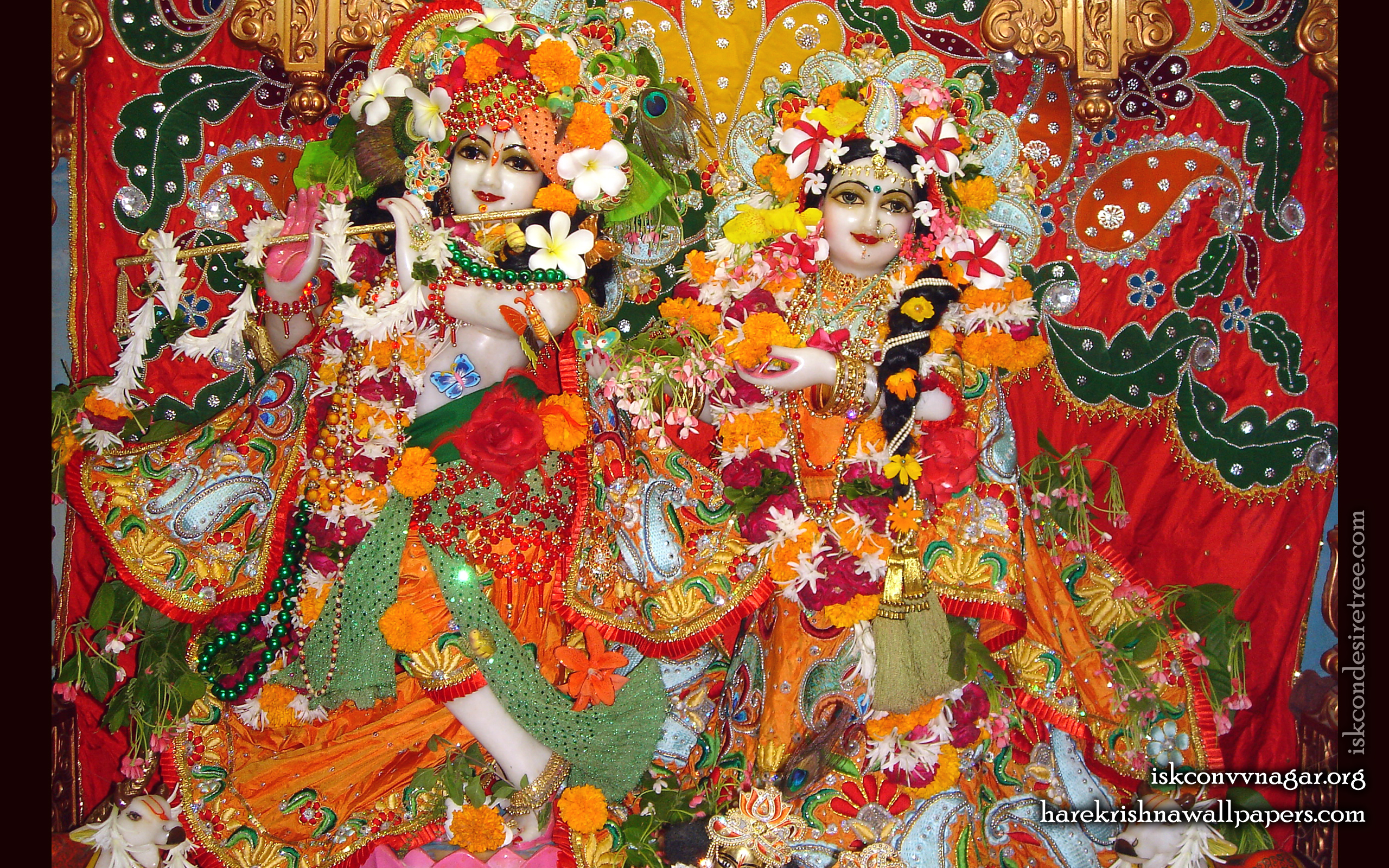 Sri Sri Radha Giridhari Wallpaper (016) Size 2560x1600 Download