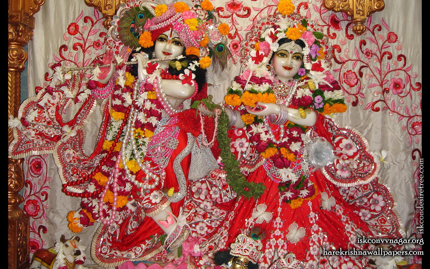 Sri Sri Radha Giridhari Wallpaper (018) Size 1440x900 Download