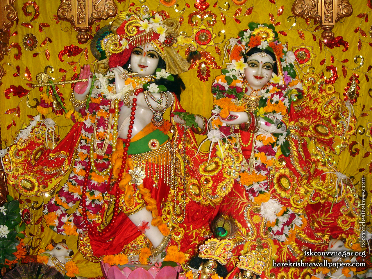 Sri Sri Radha Giridhari Wallpaper (024) Size 1280x960 Download