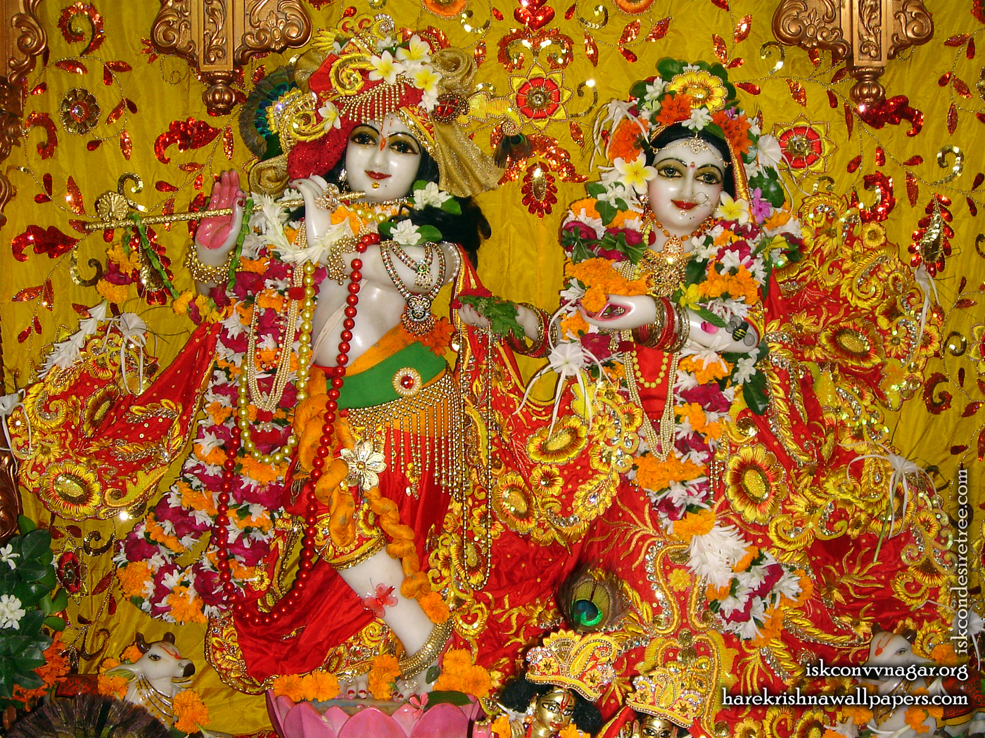 Sri Sri Radha Giridhari Wallpaper (024) Size 1400x1050 Download