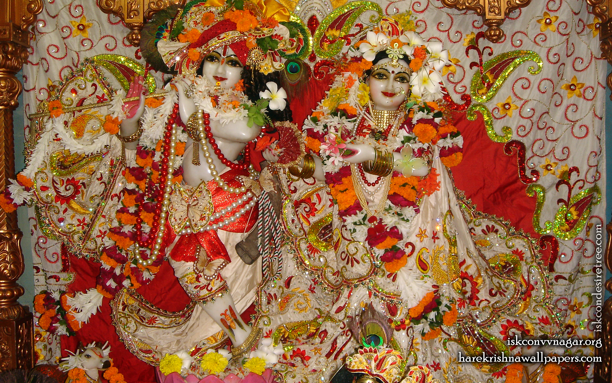 Sri Sri Radha Giridhari Wallpaper (025) Size 2560x1600 Download