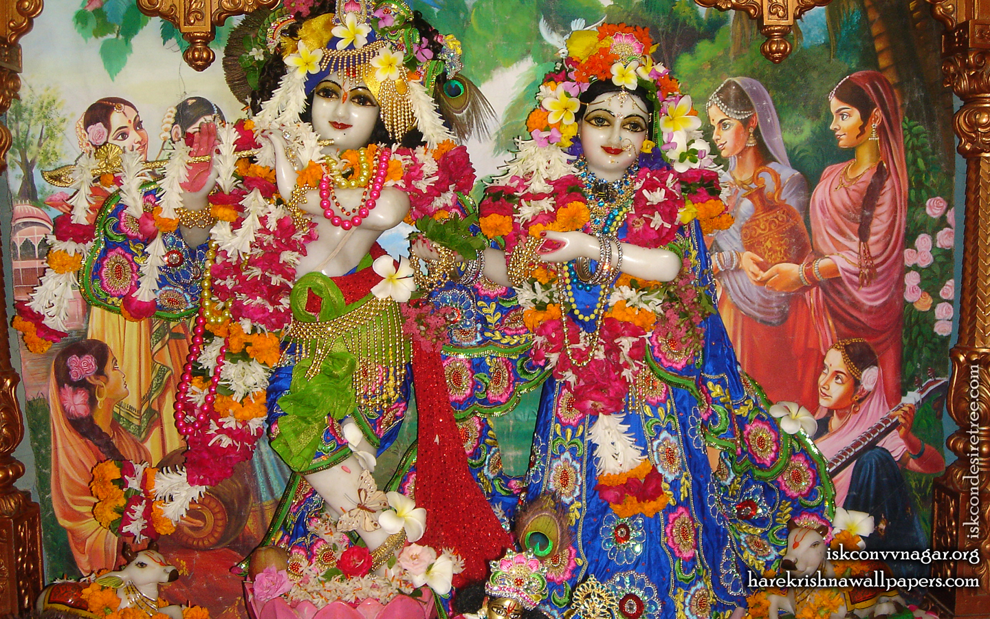 Sri Sri Radha Giridhari Wallpaper (026) Size 1440x900 Download