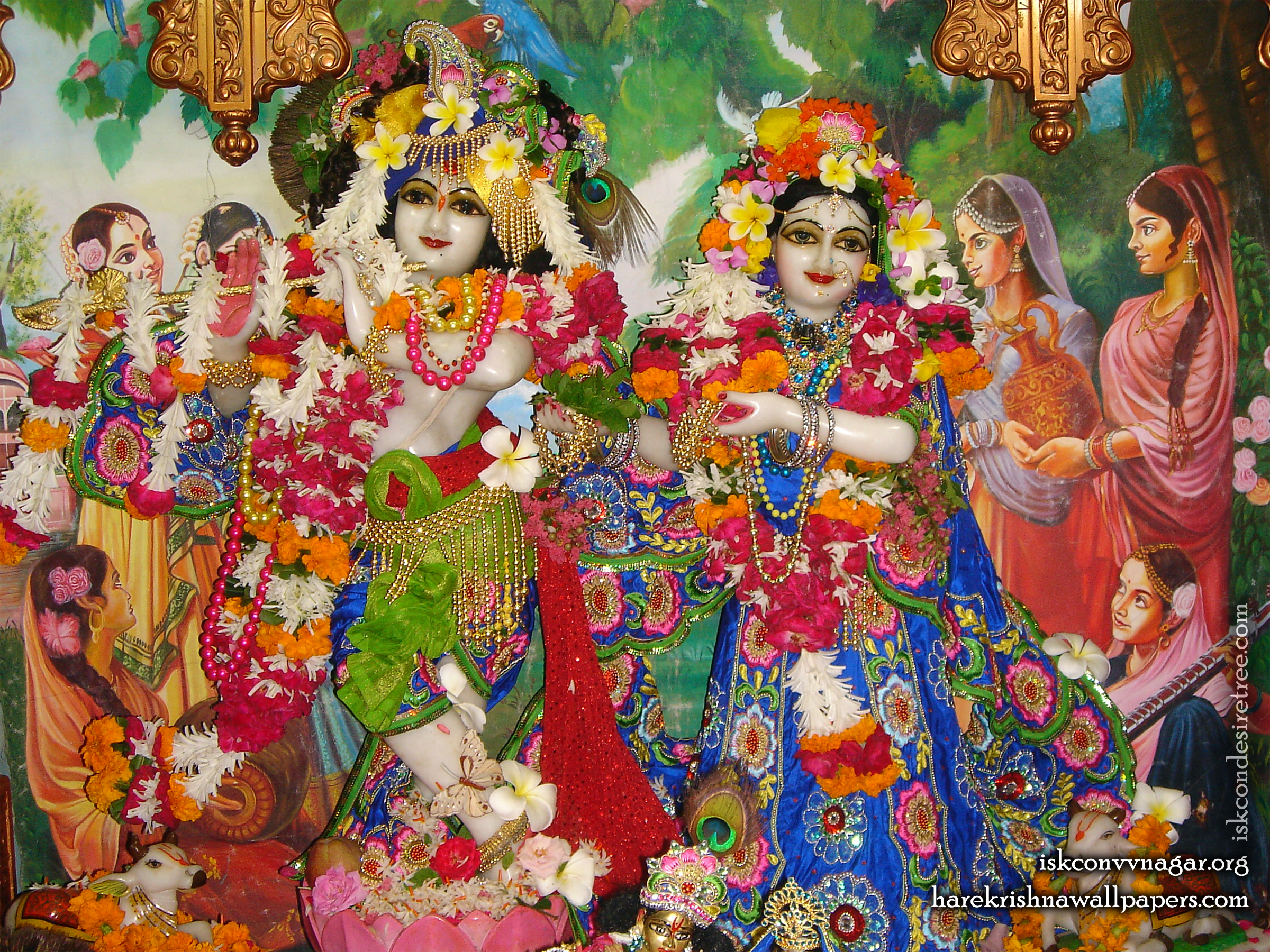 Sri Sri Radha Giridhari Wallpaper (026) Size 2400x1800 Download