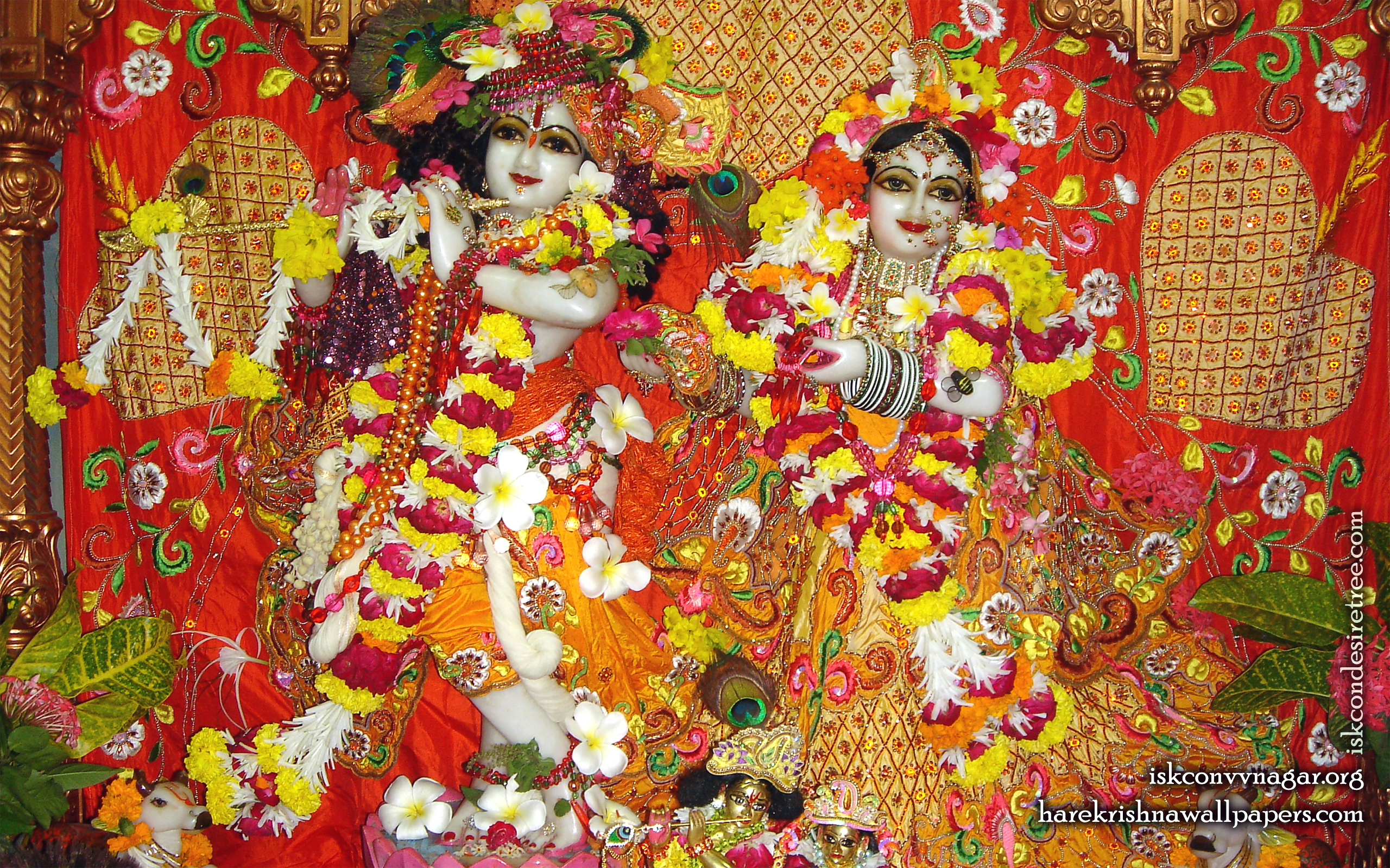 Sri Sri Radha Giridhari Wallpaper (028) Size 2560x1600 Download