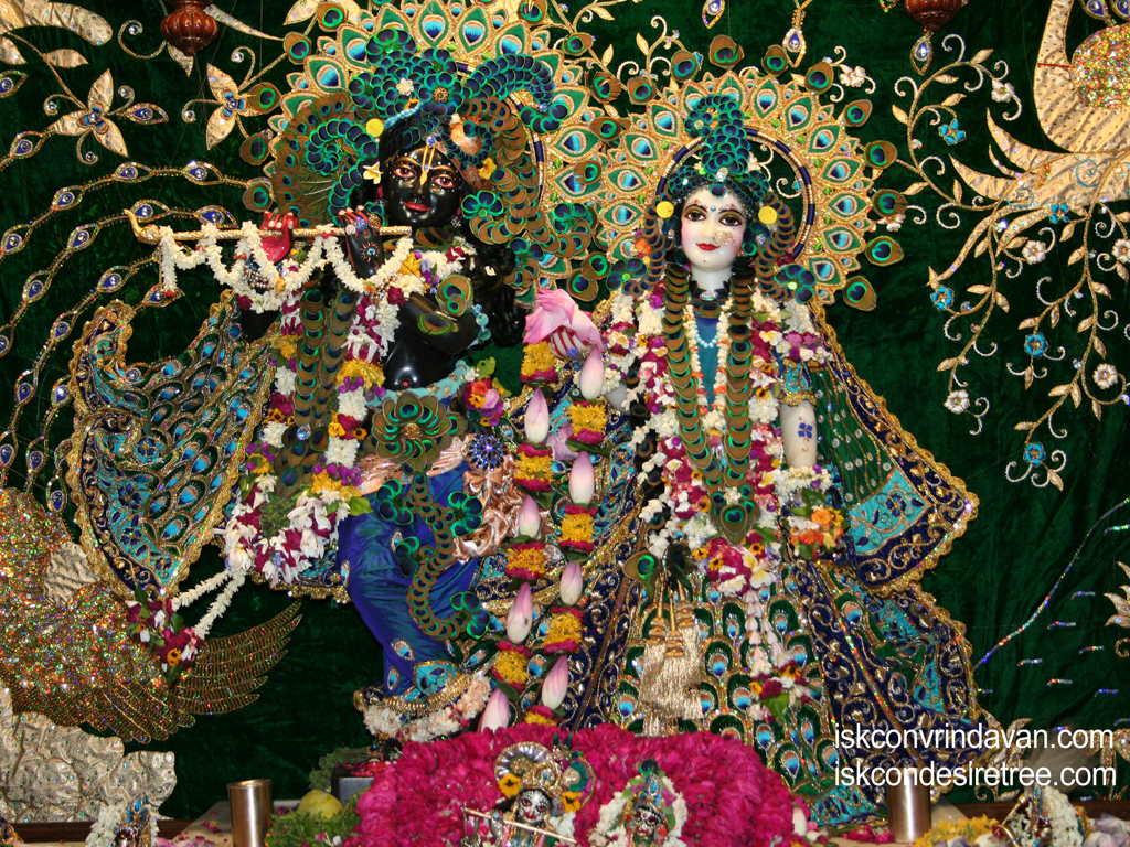 Sri Sri Radha Shyamsundar Wallpaper (001) Size 1024x768 Download