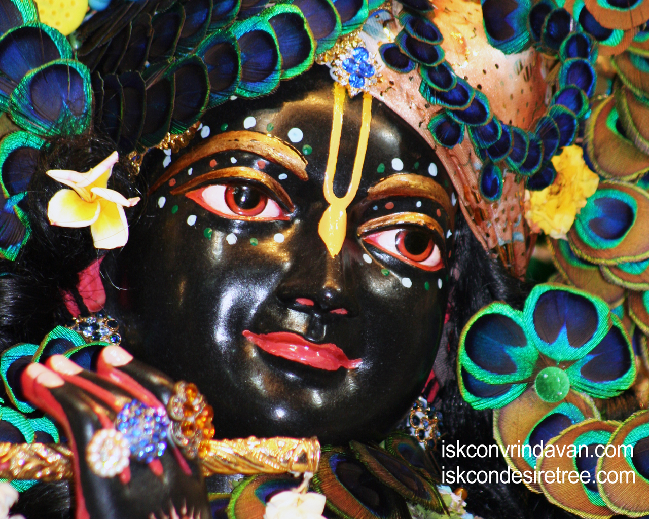 Sri Shyamsundar Close up Wallpaper (002) Size 1280x1024 Download