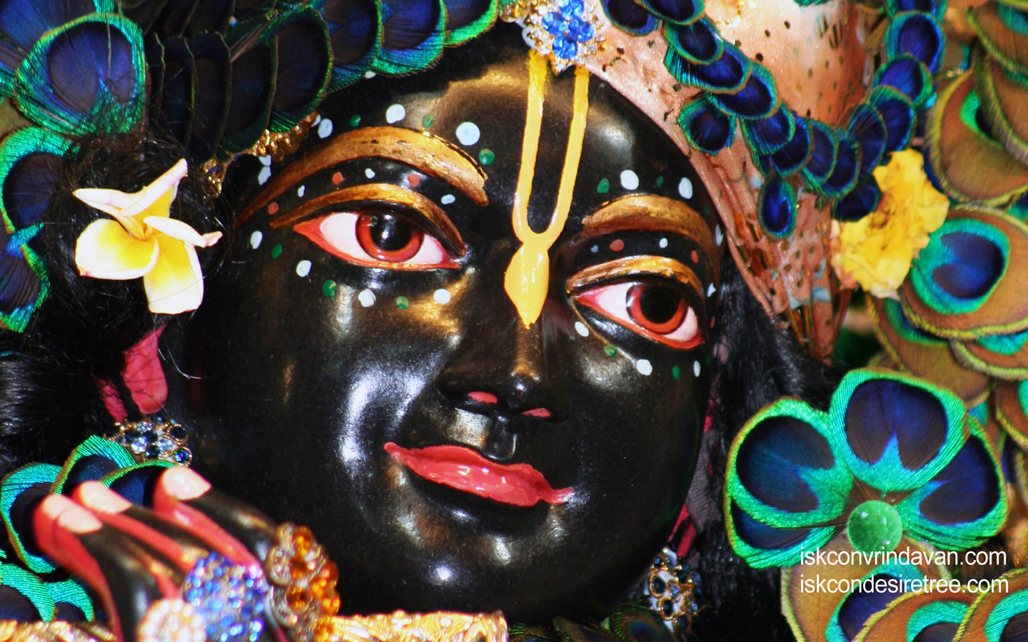 Sri Shyamsundar Close up Wallpaper (002) Size 1440x900 Download