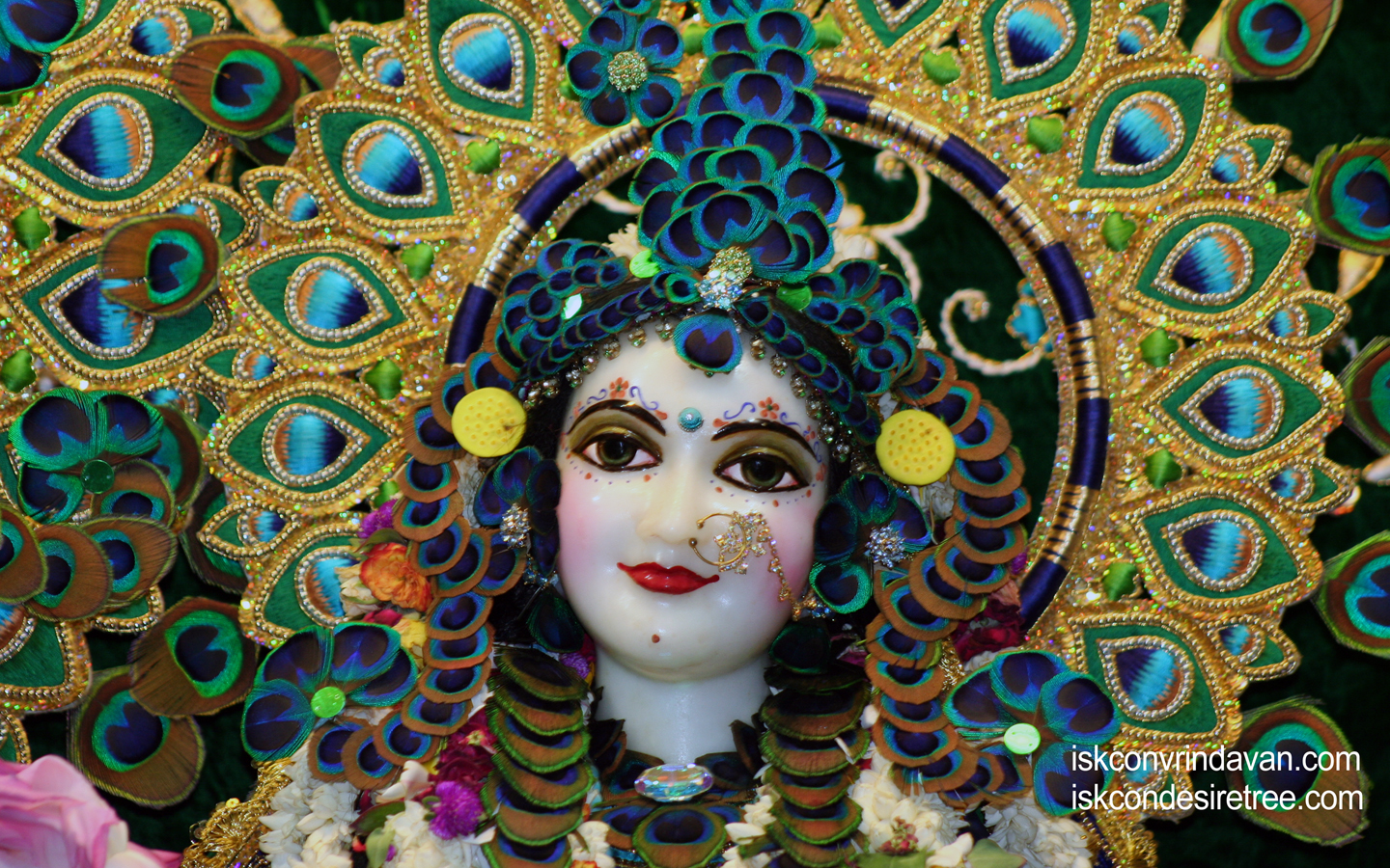 Sri Radha Close up Wallpaper (007) Size 1440x900 Download