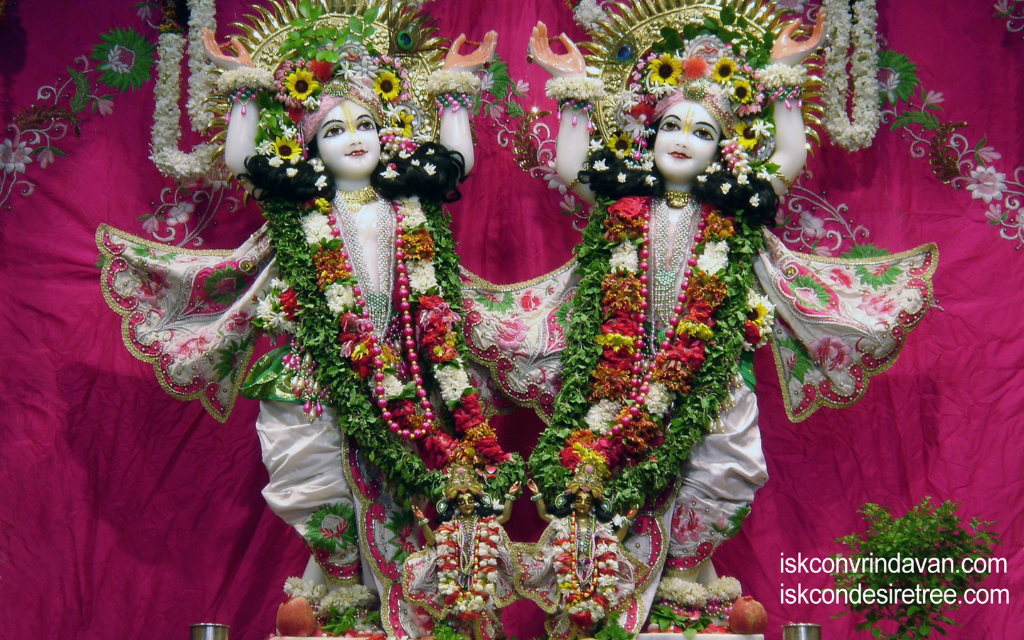 Sri Sri Gaura Nitai Wallpaper (008) Size 1440x900 Download