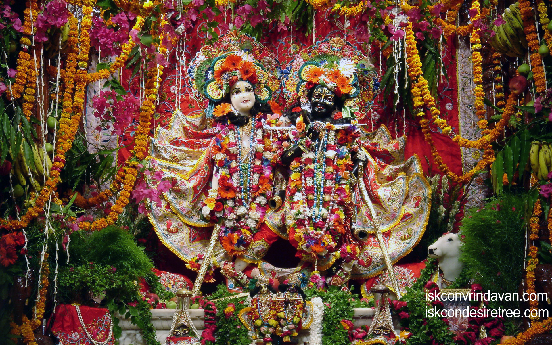 Sri Sri Krishna Balaram Wallpaper (012) Size 1920x1200 Download