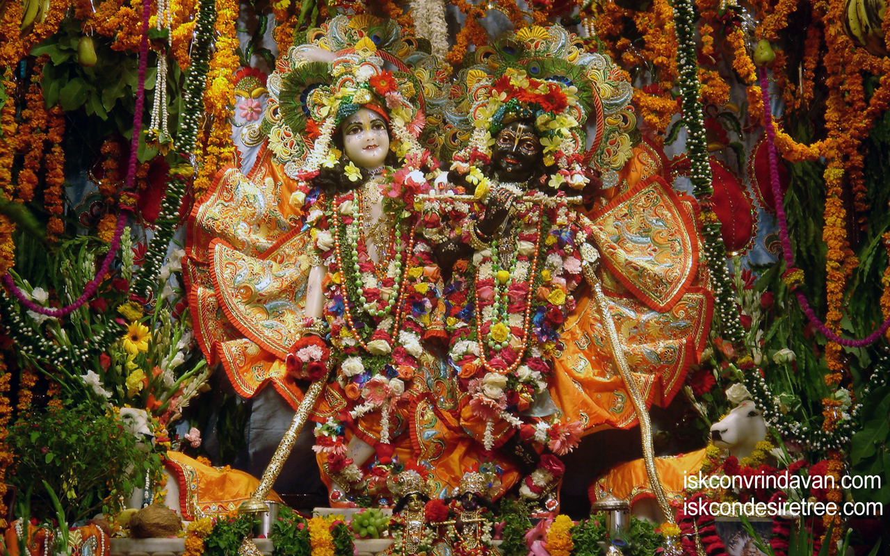 Sri Sri Krishna Balaram Wallpaper (014) Size 1280x800 Download